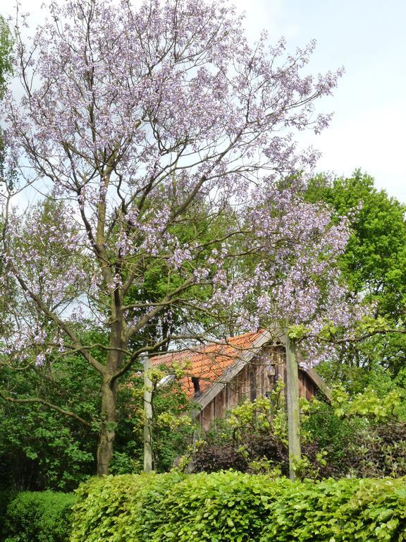 Villa Gasthuys Hongerdyck Bruchterveld Exterior foto